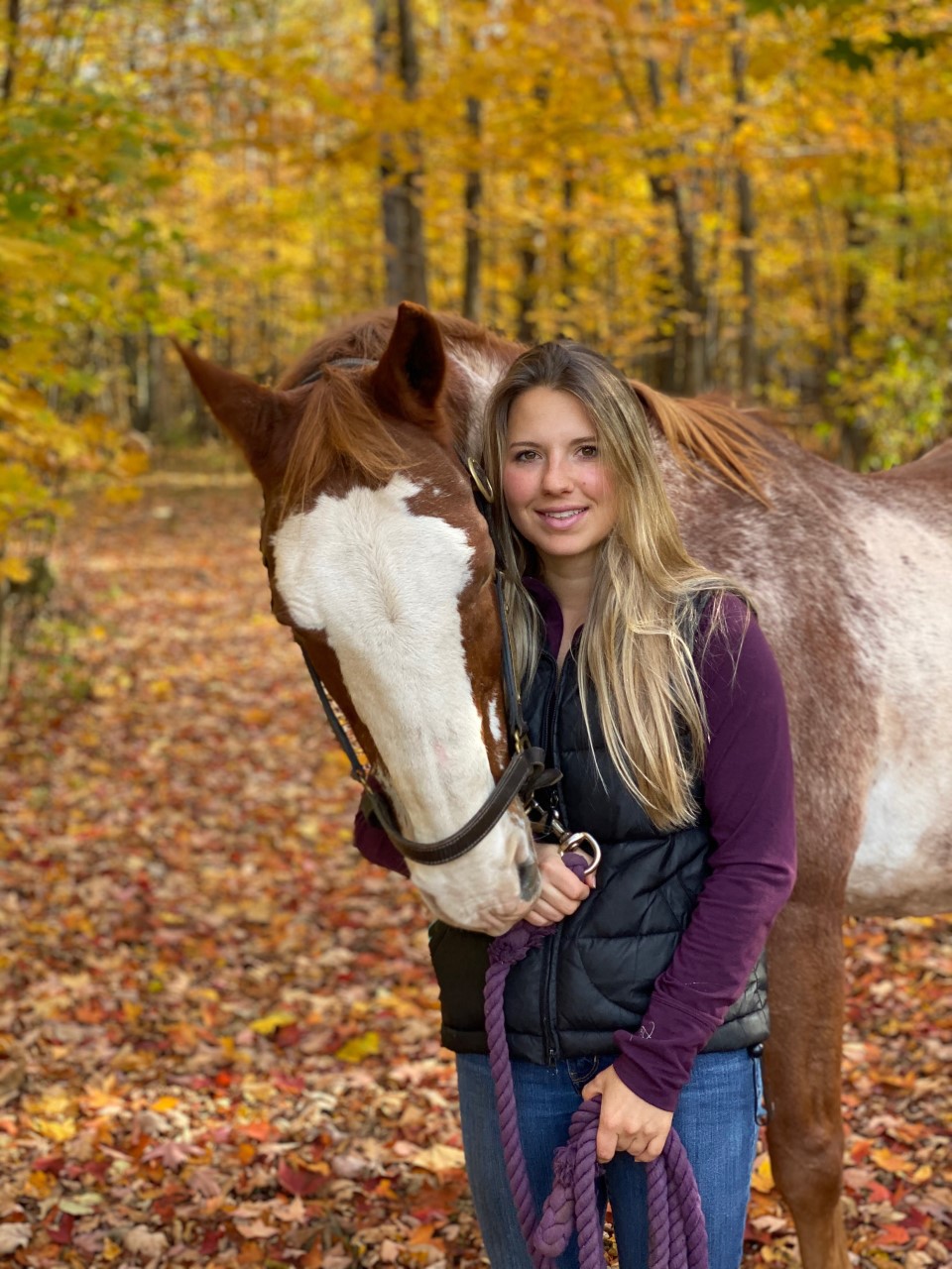 Veterinarians Almonte Veterinary Services